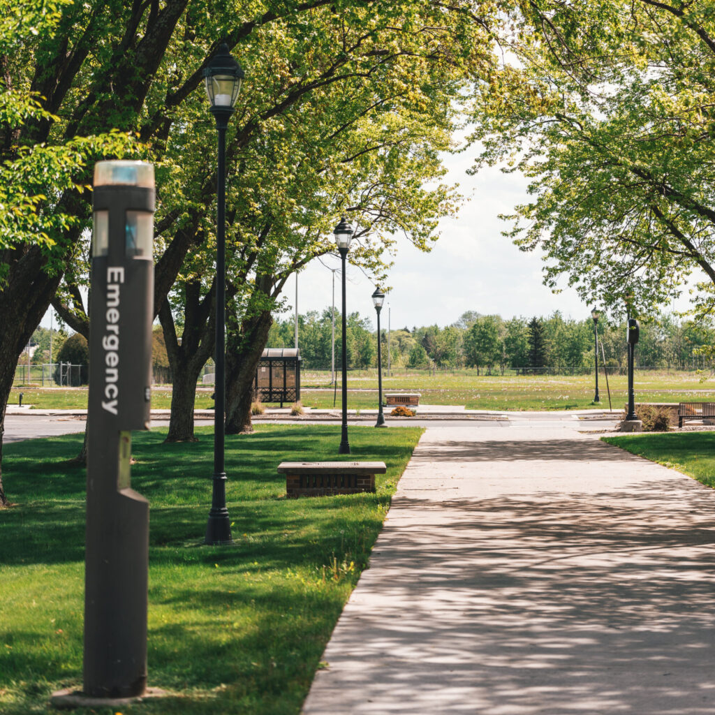 UW-Superior walkway surrounded by trees