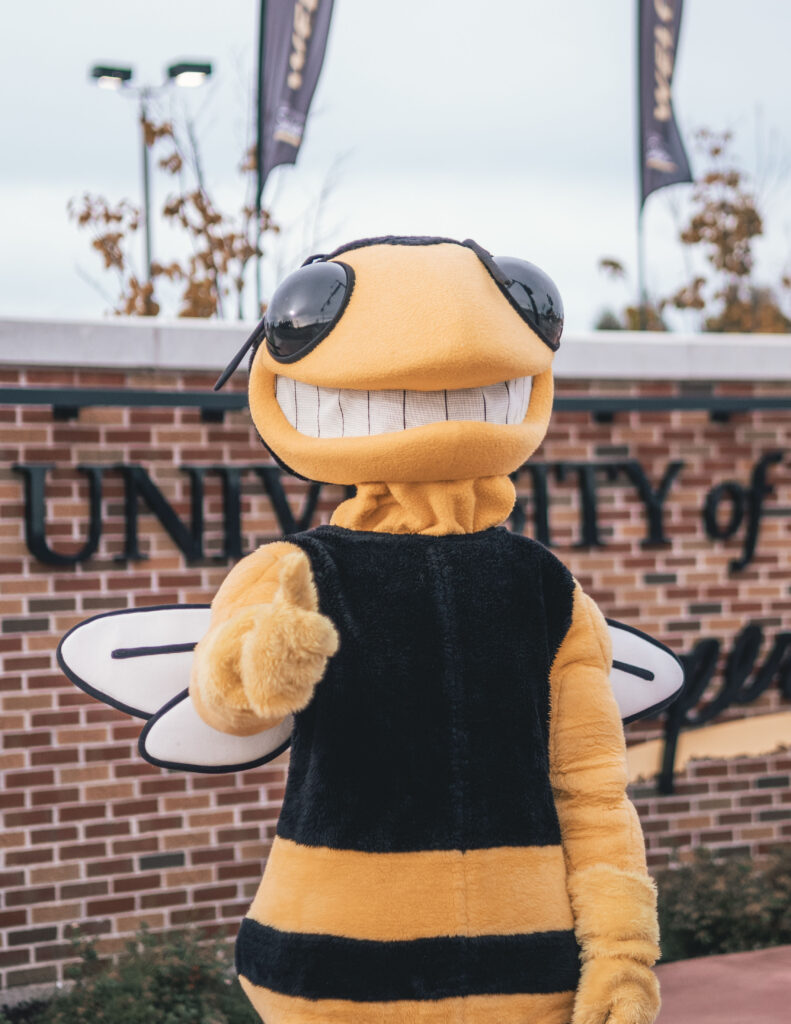 Buzz the Yellowjacket