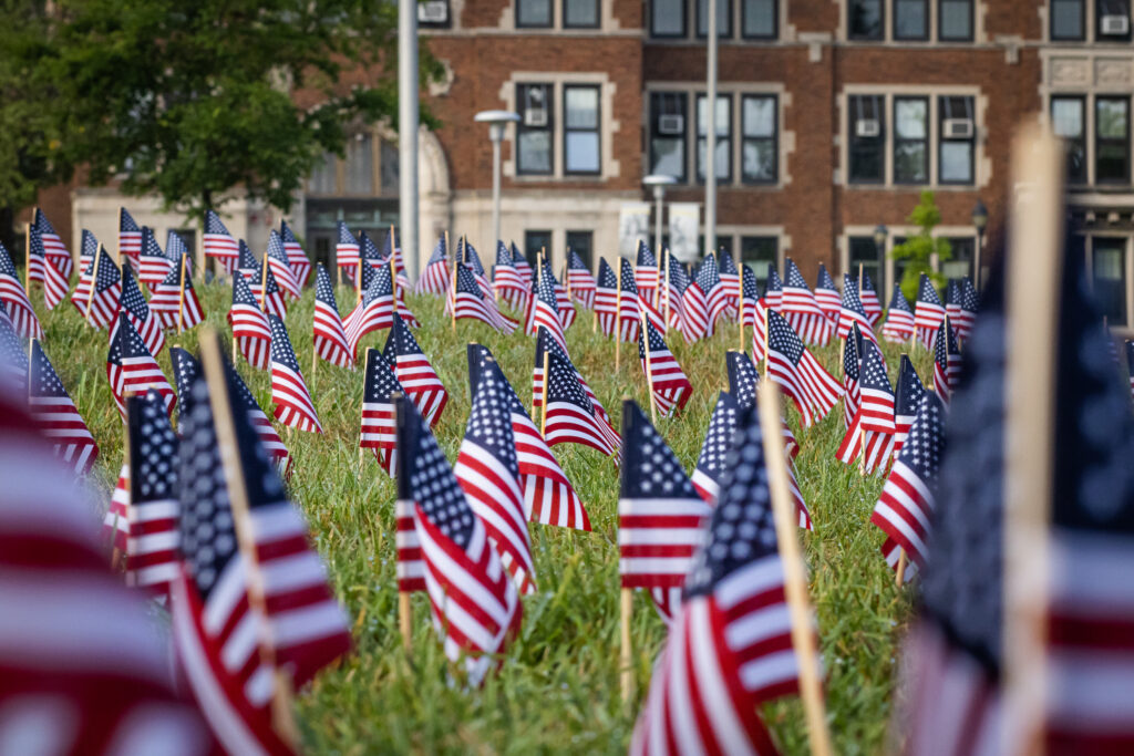 American flags in soil