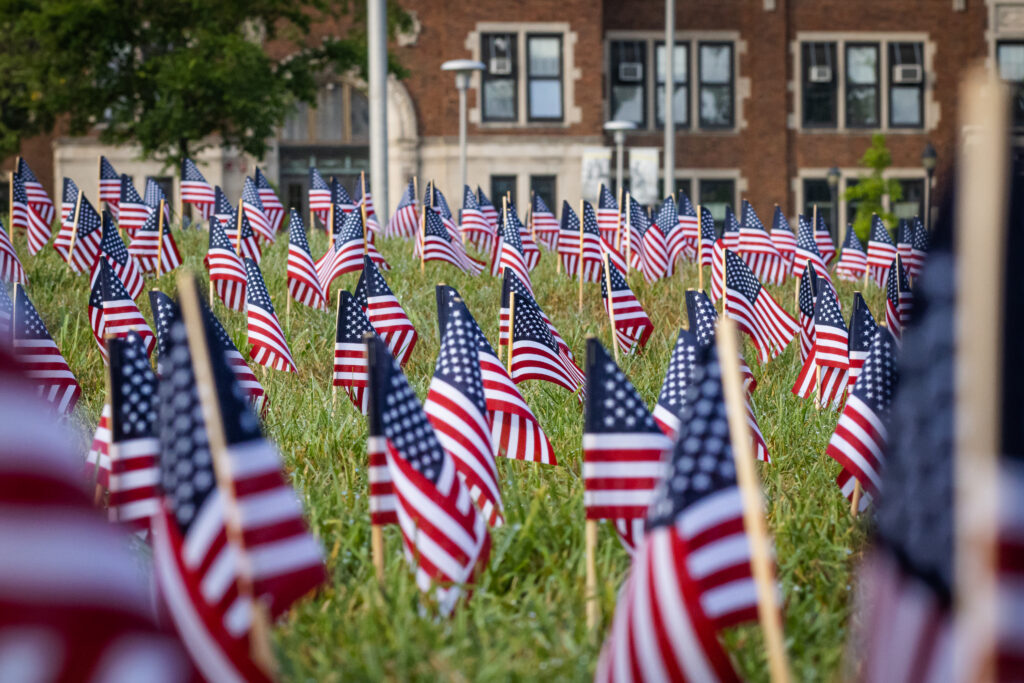 American flags in grass