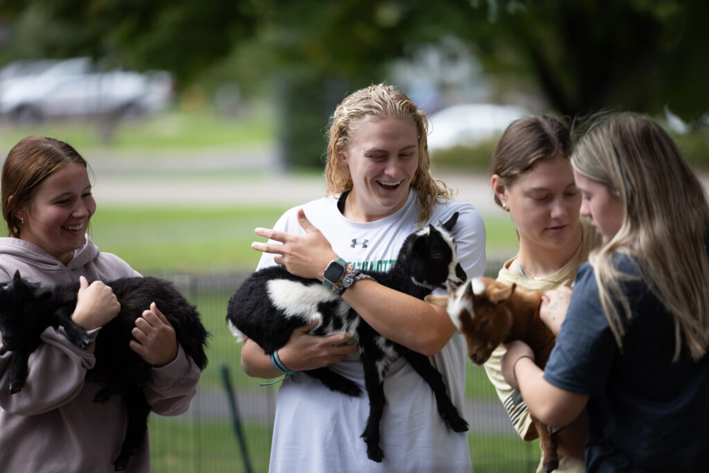 Goat Yoga