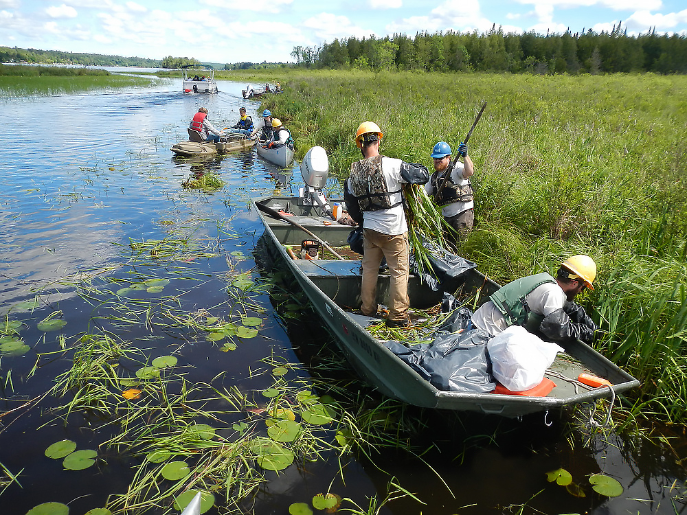 Students taking plant samples from Lake Superior