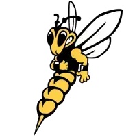 Yellowjacket logo