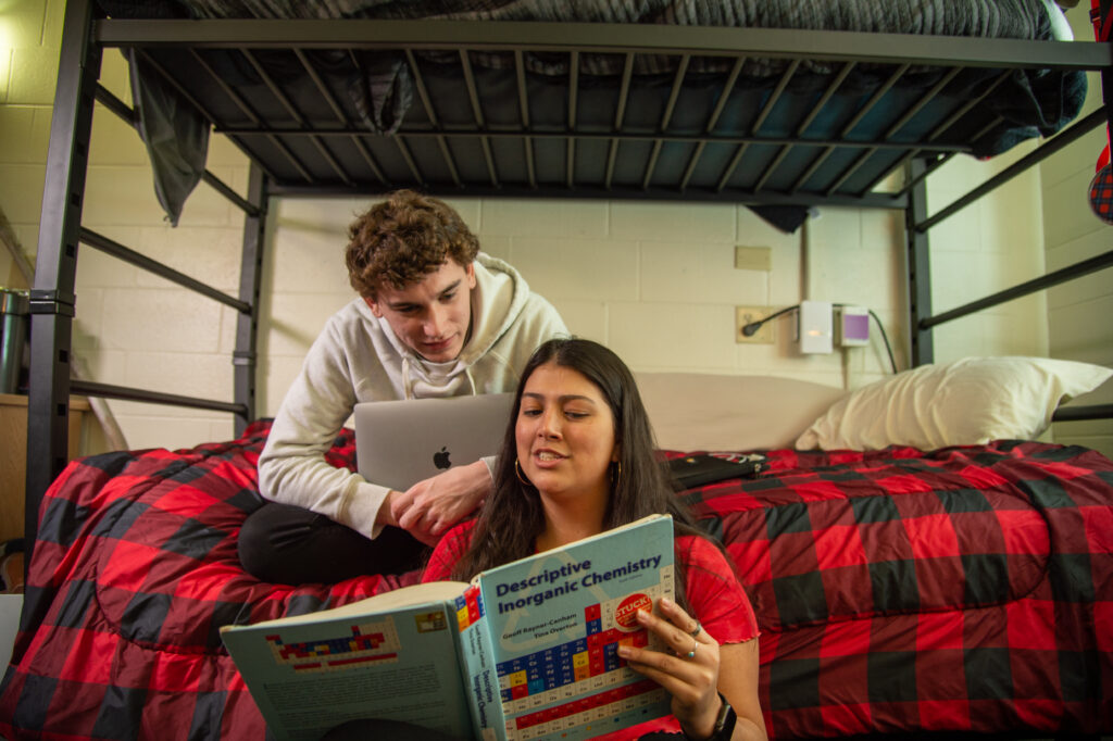 Students studying together in dorm room