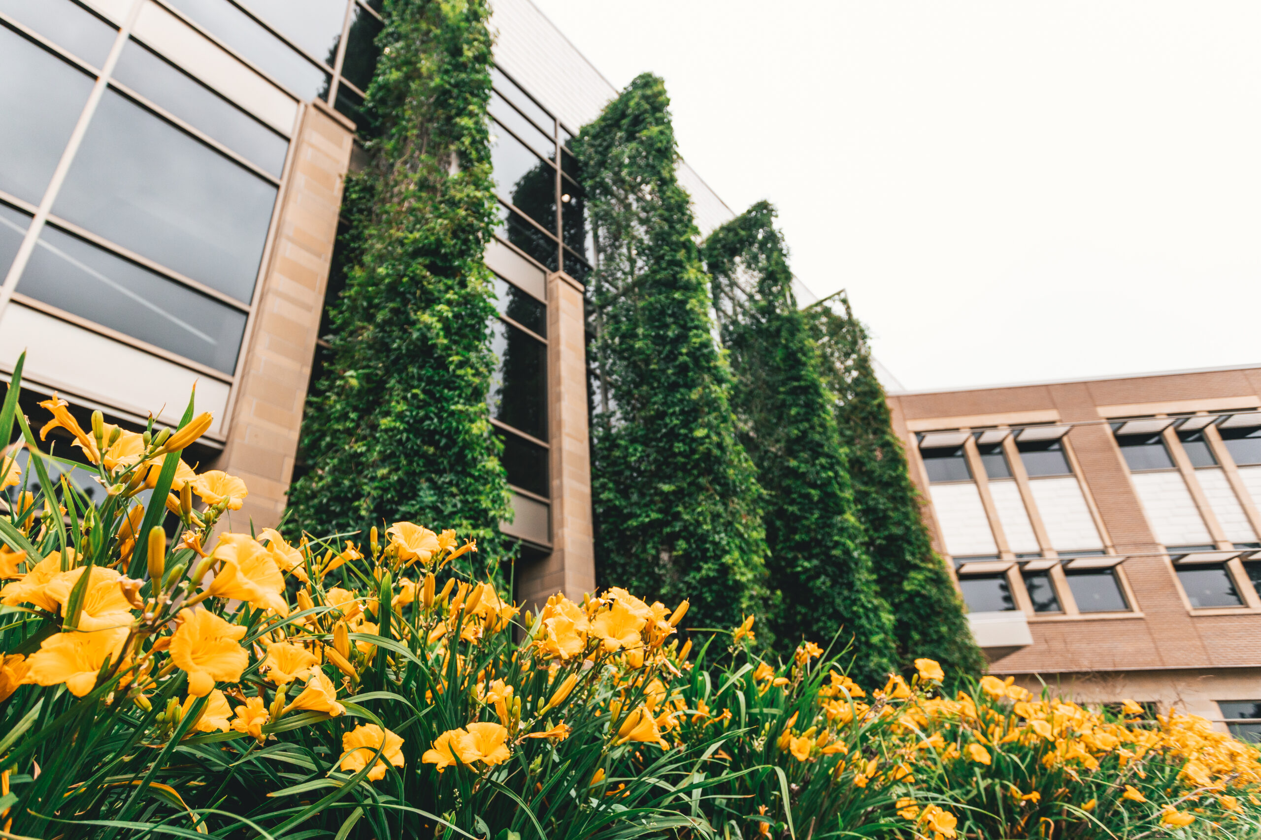 Flowers in front of Swenson Hall